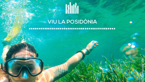 Programa de actividades del programa 'Vive la Posidonia'