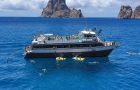 Tips for a perfect boat excursion in Ibiza